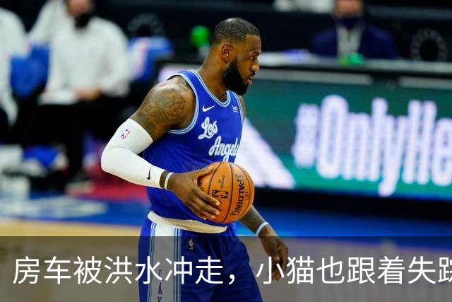 房车被洪水冲走，小猫也跟着失踪，8天后它突然回家了，全家人都哭了